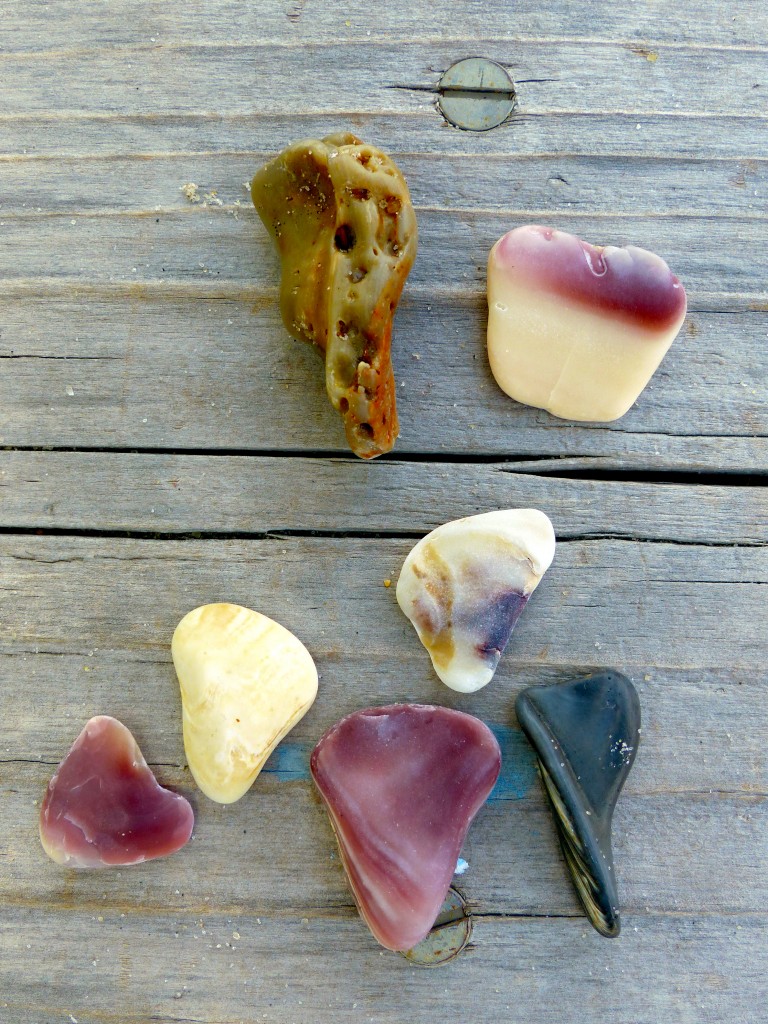 Guitar pick Shells