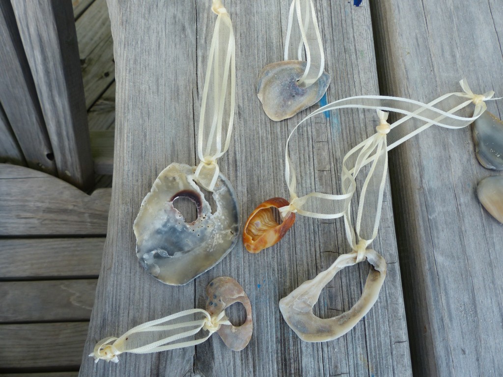 Shells with holes for hanging