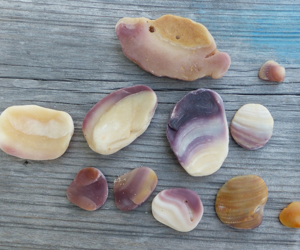 Shells that are smooth